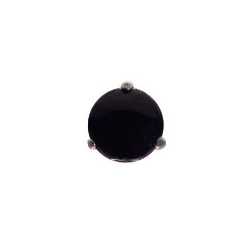 1 muszla abalone 1.jpg