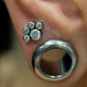 Kryształowa łapka - wiele kolorów - tytanowy ozdobny labret Biały w płatku ucha