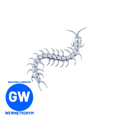 Skolopendra labret ozdobny L202.jpg