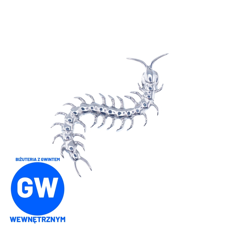 Skolopendra labret ozdobny L202.jpg