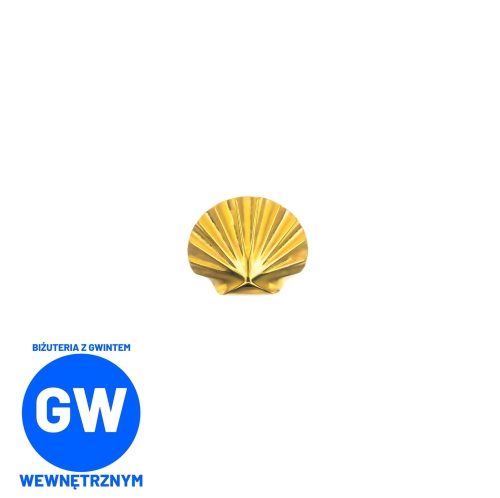 Muszelka muszla tytanowy ozdobny labret ZŁOTY L034.jpg