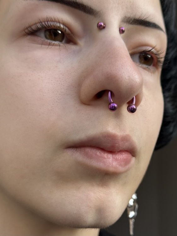 septum różowy anodowany na PINK ELEPHANT duża podkowa