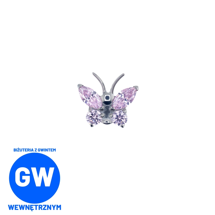 motyl tytan.jpg
