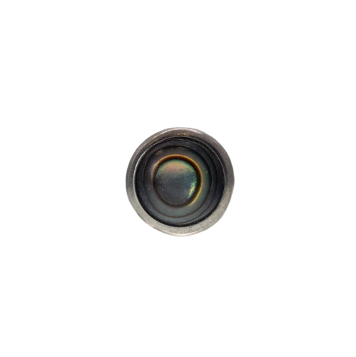 Muszla abalone. Okrągła płaska nakrętka z kamieniem PUSH-IN - tytanowy ozdobny labret. Wiele kolorów, onyks, imitacja naturalnych kamieni. Kolczyk do piercingu przekłuć ucha, nosa, wargi.