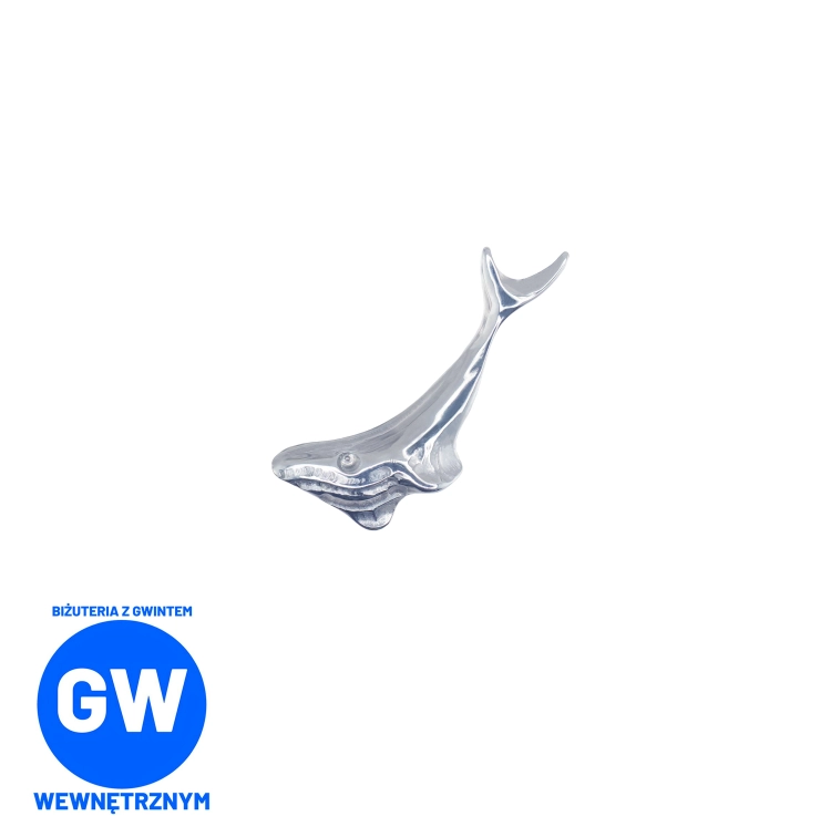 Wieloryb tytanowy labret płetwal błekitny waleń morski monster oceaniczny ssak L158.jpg